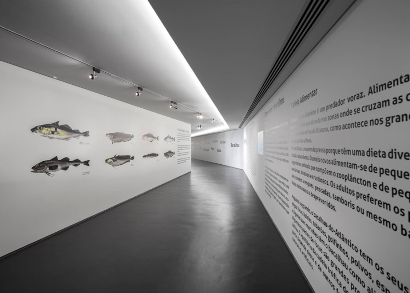 Ílhavo Maritime Museum Extension by Arx