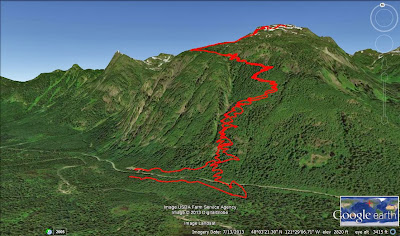 Trail up Mount Dickerman, lots of switchbacks