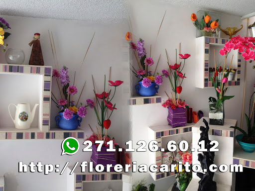 Florales Carito, Av, 15 Privada Calle 13 No.1507, Fracc. Guadalupe, 94590 Córdoba, Ver., México, Diseñador de iluminación de paisajismo | VER