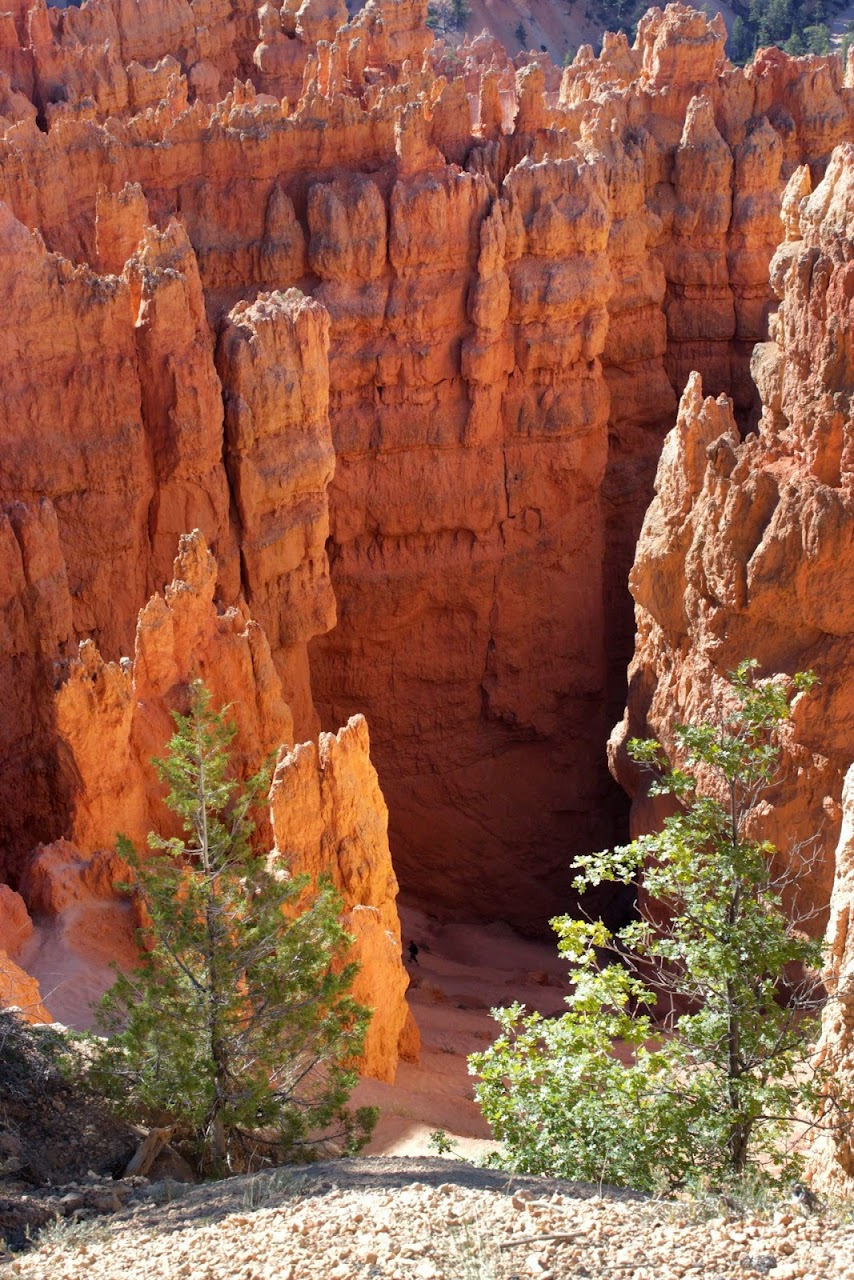 Día 11: Visita a Bryce y llegada a Zion - Parques nacionales del oeste de EEUU and more (6)