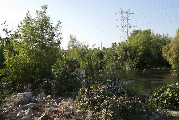 Los Angeles River in Elysian Valley