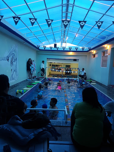 Swimmers (escuela de natacion), Calle Lago Chapultepec, Los Manantiales, 54420 Villa Nicolás Romero, Méx., México, Gimnasio | EDOMEX