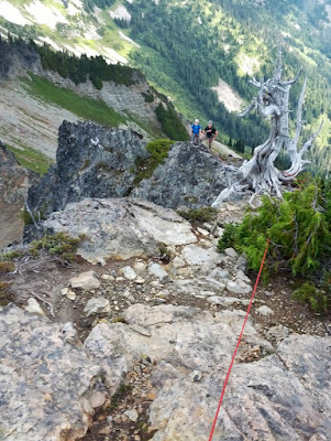 Looking down 'pitch 3'. I slung that old, gnarly tree on my way up