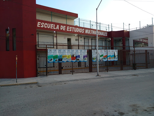 Escuela de Estudios Multinacionales, 66610, Av. Chopo 955, Ebanos Residencial VII, Cd Apodaca, N.L., México, Escuela | NL