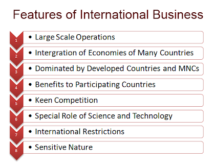 features of international business