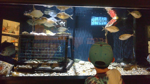 Aquarium «Woods Hole Science Aquarium», reviews and photos, 166 Water St, Woods Hole, MA 02543, USA