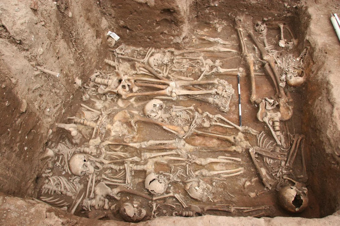 Single strain of plague bacteria sparked multiple historical and modern pandemics Single strain of plague bacteria sparked multiple historical and modern pandemics