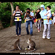 Paket Wisata Keluarga Ke Bali