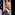 Barack