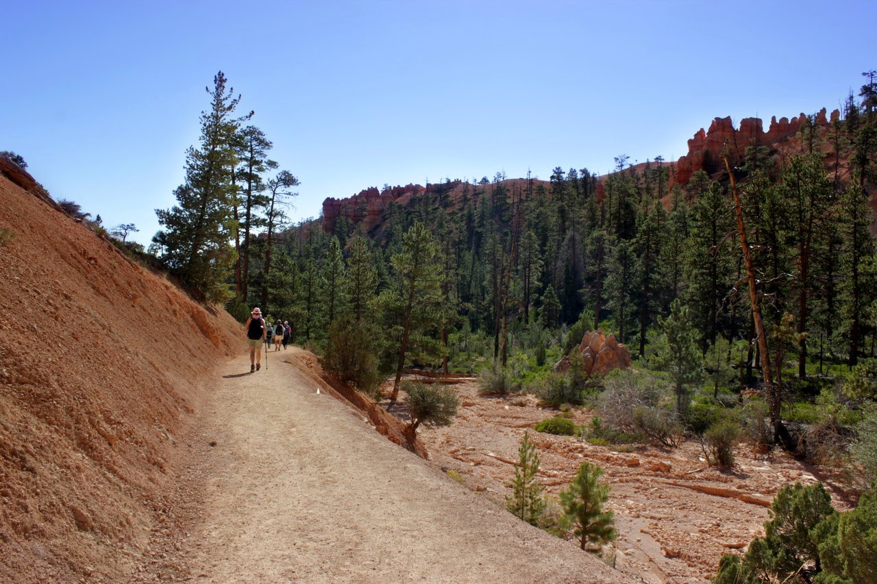 Día 11: Visita a Bryce y llegada a Zion - Parques nacionales del oeste de EEUU and more (16)