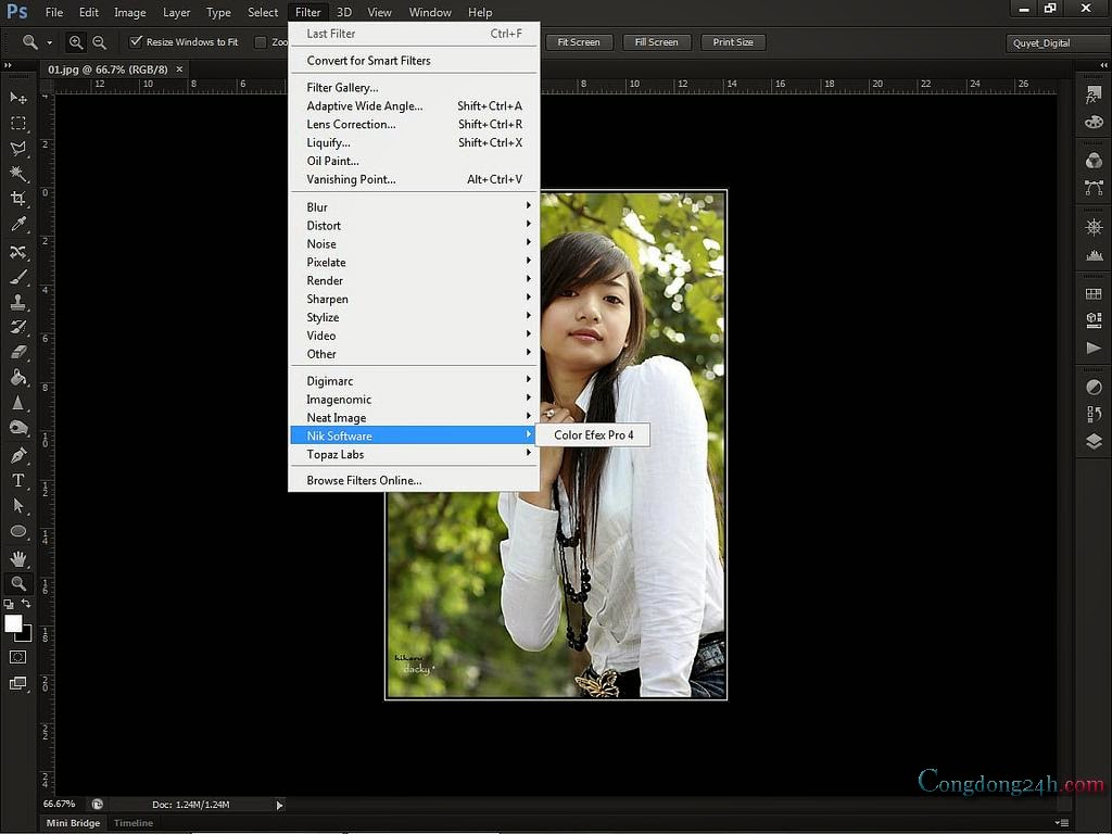 Nik Color Efex Pro 4 Serial Number Free ^NEW^ Download | scabunnore's Ownd