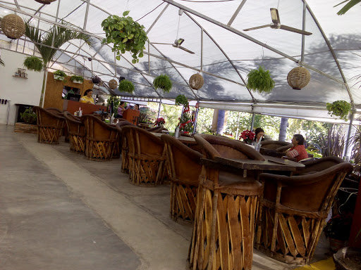 La Plantería Vivero Café, Av. Camino Real de Colima 3024, El Banate, Tlajomulco de Zúñiga, Jal., México, Restaurantes o cafeterías | JAL