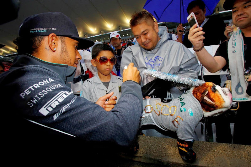 Льюис Хэмилтон дает автограф болельщику с Роско на Гран-при Японии 2014