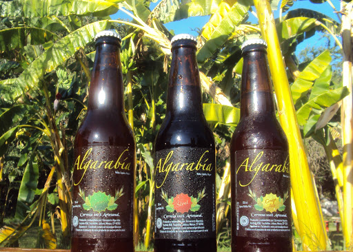 Algarabia Cerveza Artesanal, Iturbide Pte. 56, Centro, 46760 Teuchitlán, Jal., México, Pub | JAL