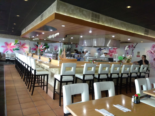 Japanese Restaurant «Hiro Japanese Restaurant», reviews and photos, 3007 NE 163rd St, Miami, FL 33160, USA