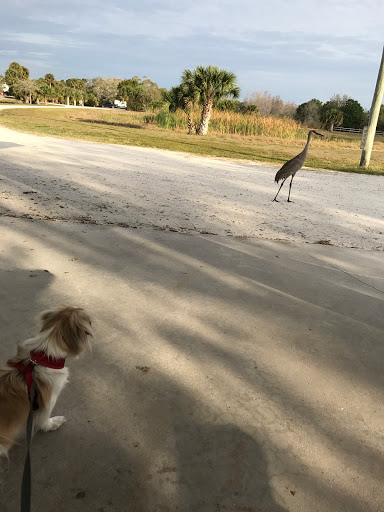 Campground «Savannas Recreation Area», reviews and photos, 1400 E Midway Rd, Fort Pierce, FL 34982, USA