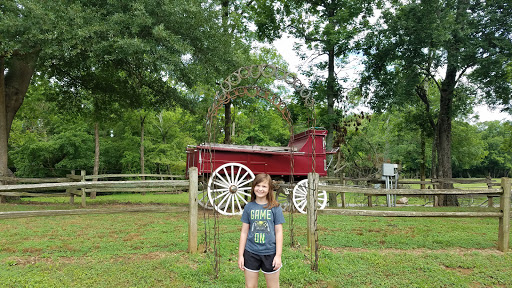 Farm «Pettit Creek Farms», reviews and photos, 337 Cassville Rd, Cartersville, GA 30120, USA