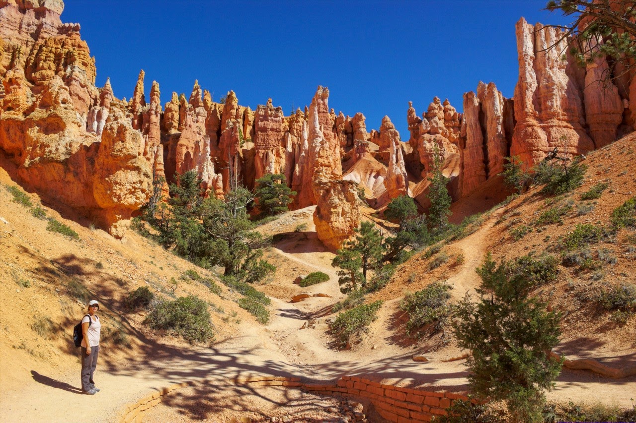 Día 11: Visita a Bryce y llegada a Zion - Parques nacionales del oeste de EEUU and more (20)