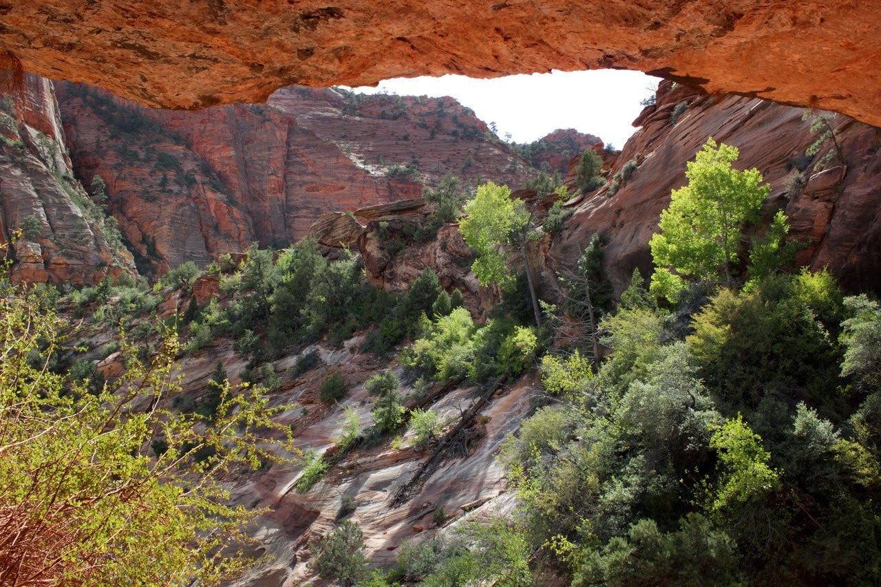 Día 11: Visita a Bryce y llegada a Zion - Parques nacionales del oeste de EEUU and more (57)