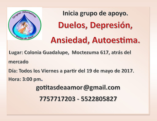 Terapias Alternativas Gotitas De Amor, Calle Ocote, Los Sabinos, 43629 Tulancingo, Hgo., México, Psicoterapeuta | HGO