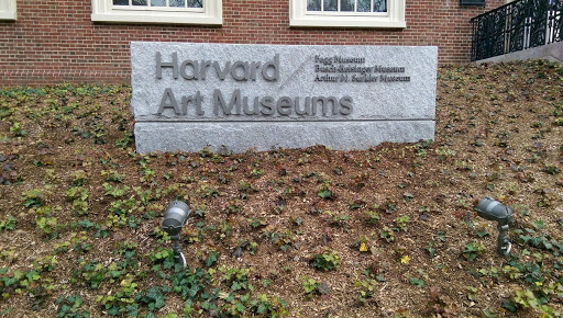 Art Museum «Harvard Art Museums», reviews and photos, 32 Quincy St, Cambridge, MA 02138, USA