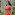 Kavita
