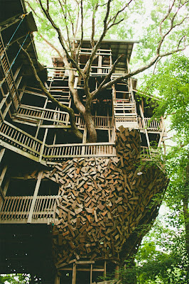 The World's Tallest Treehouse Seen On www.coolpicturegallery.us Minister's Treehouse Seen On www.coolpicturegallery.us