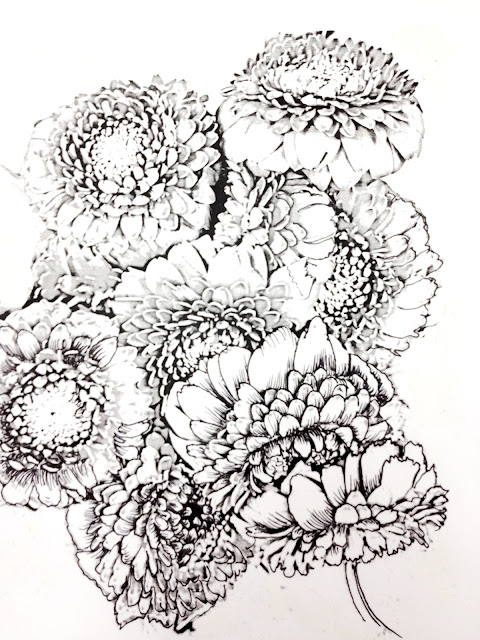 Free printable mandala coloring pages - free adult coloring pages to print