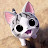 c.qcumber funny animator