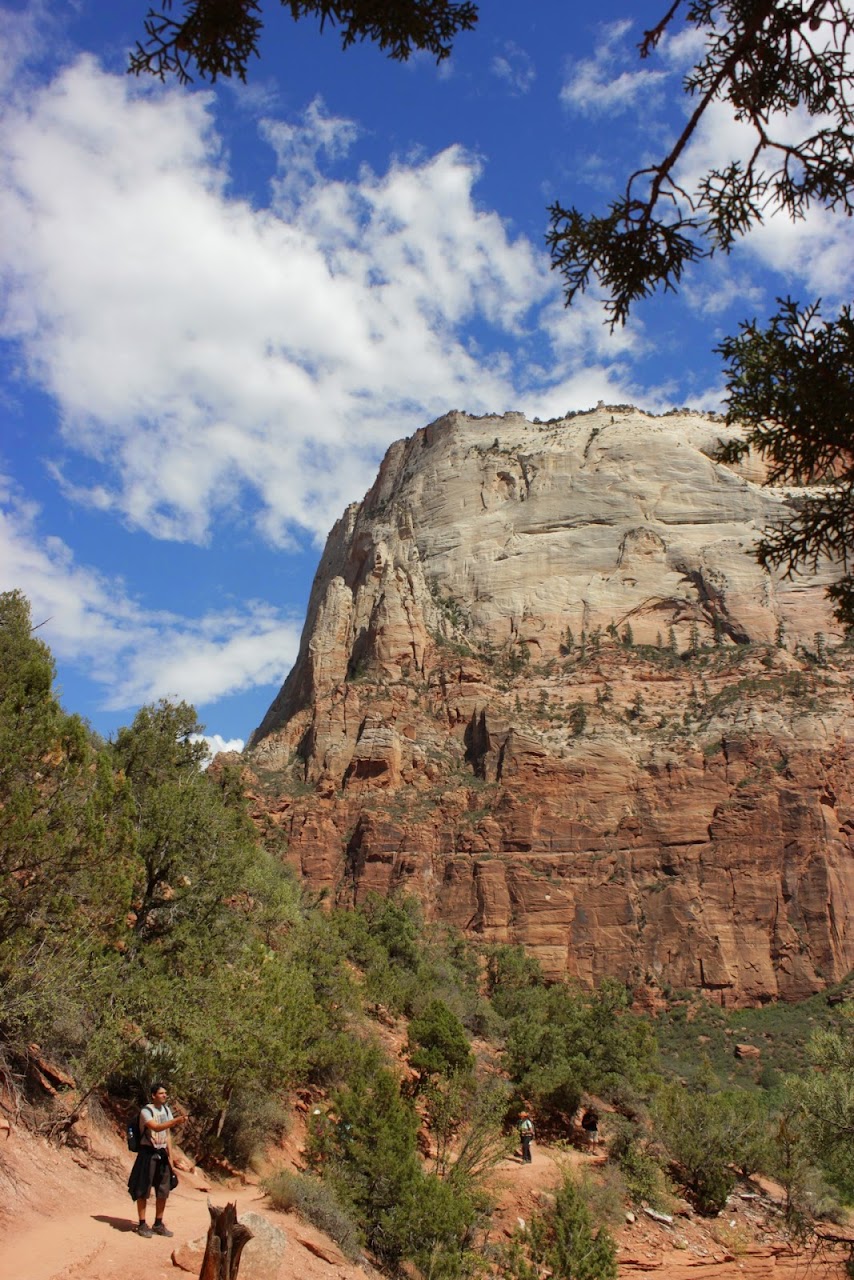 Día 12: Visita a Zion - Parques nacionales del oeste de EEUU and more (38)