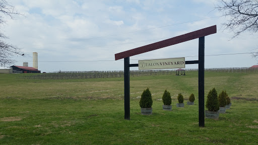 Vineyard «Talon Winery & Vineyards», reviews and photos, 7086 Tates Creek Rd, Lexington, KY 40515, USA