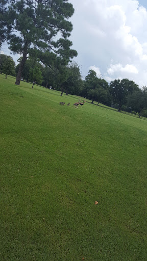 Golf Course «Hermann Park Golf Course», reviews and photos, 2155 MacGregor Way, Houston, TX 77030, USA