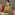 rina