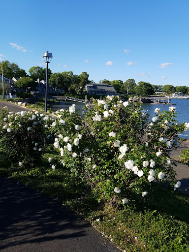 Park «Branford Point», reviews and photos, 4 Harbor St, Branford, CT 06405, USA