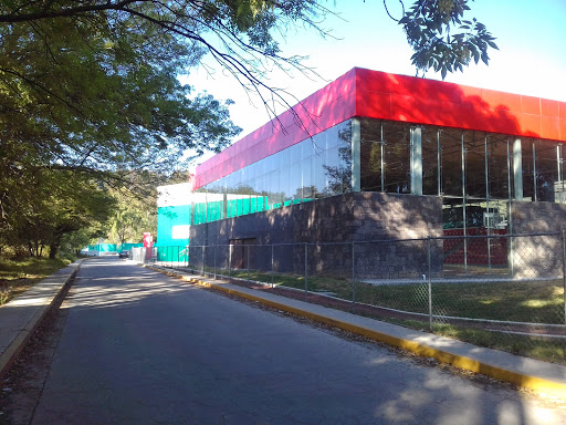 Unidad Deportiva El Oro, Blvd. Jacinto Salinas, Centro, 50600 El Oro de Hidalgo, Méx., México, Escuela deportiva | EDOMEX