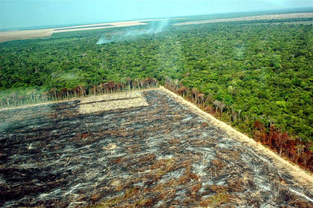 World Heritage Sites risk collapse without stronger local management World Heritage Sites risk collapse without stronger local management