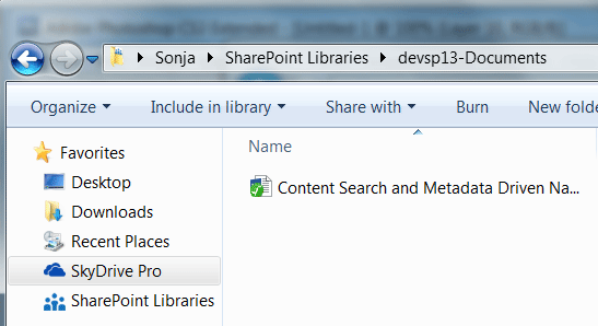 SharePoint 2013 SkyDrive