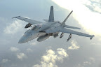 [F-18 Super Hornet]