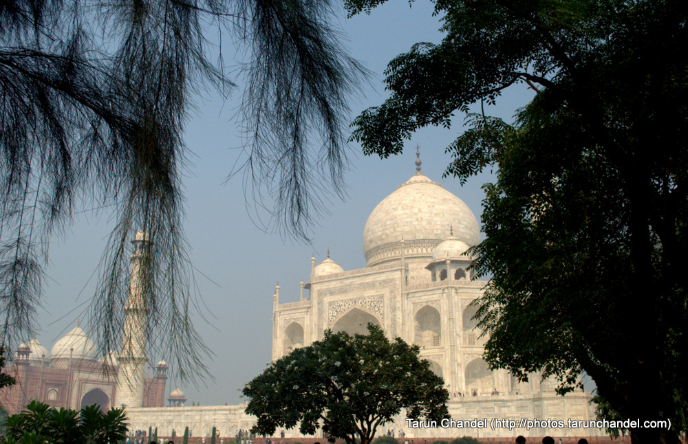 Taj Mahal Agra Trees, Tarun Chandel Photoblog