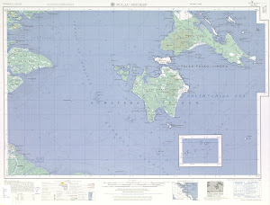 Уменьшенное изображение Карта американской армии лист txu-oclc-21752461-sa48-2