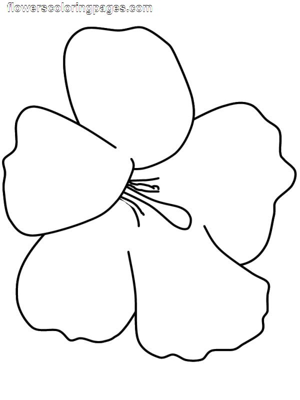 Coloring pages for PRESCHOOLERS Hellokids