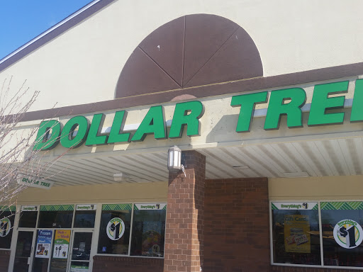 Dollar Store «Dollar Tree», reviews and photos, 1245 Middle Country Rd, Middle Island, NY 11953, USA