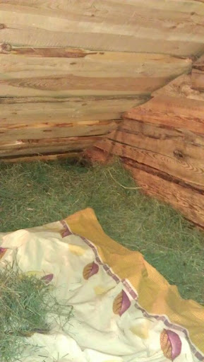 Колодворье Суздаль