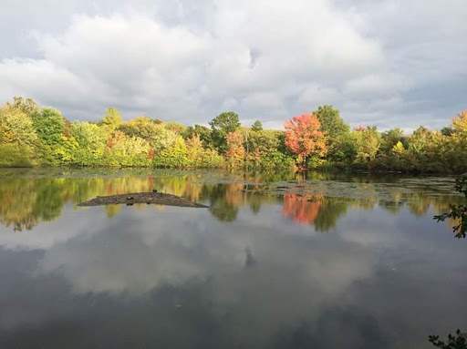 Nature Preserve «Twin Lakes Preserve», reviews and photos, Park Ave, Wantagh, NY 11793, USA