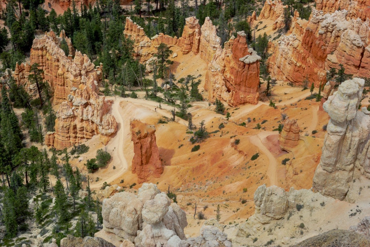 Día 11: Visita a Bryce y llegada a Zion - Parques nacionales del oeste de EEUU and more (42)