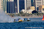 Abu Dhabi-UAE-December 9, 2011-Thani Al Qamzi from UAE of Team Abu Dhabi and Francesco Cantando from Italy of Singha F1 Racing Team at the UIM F1 H2O Grand Prix of UAE, December 8-9, 2011, on the Corniche breakwater. The 6th leg of the UIM F1 H2O World Championships 2011. Picture by Vittorio Ubertone/Idea Marketing