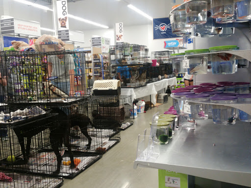 Pet Supply Store «PetSmart», reviews and photos, 10129 Crossing Way #450, Denham Springs, LA 70726, USA