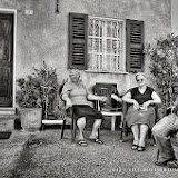 22 giugno 2013 - Tra Acqui Terme e Alice Bel Colle - fotografia di Vittorio Ubertone