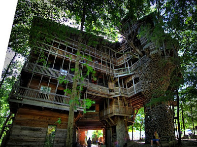 The World's Tallest Treehouse Seen On www.coolpicturegallery.us Minister's Treehouse Seen On www.coolpicturegallery.us