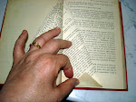terza piega